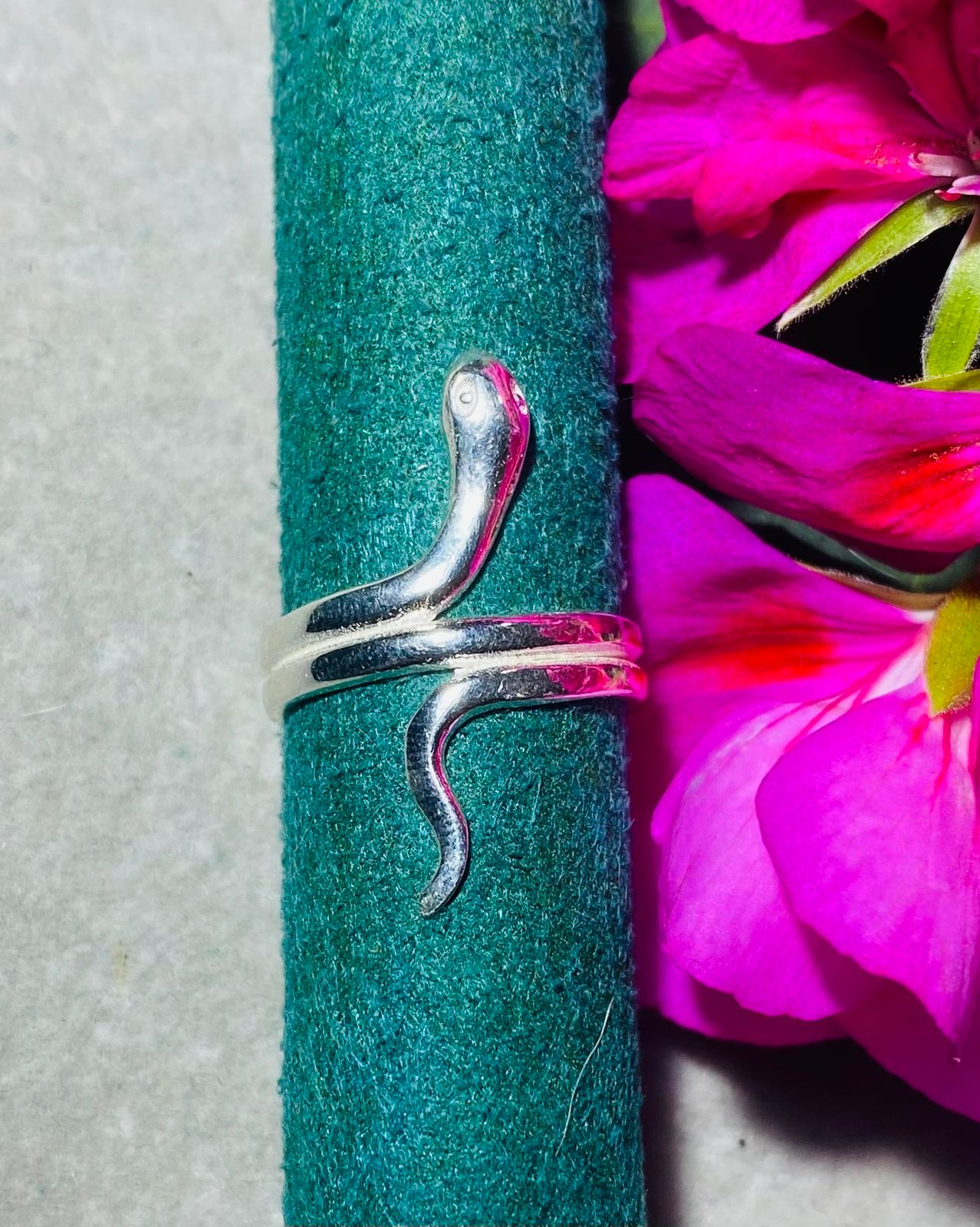 WhatsApp Image 2026-05-25 at 7.56.59 PM (6) Anillo T8 Serpiente - Imagen 1