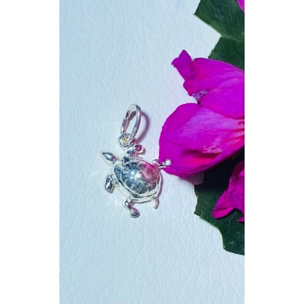 Dije de tortuga lisa